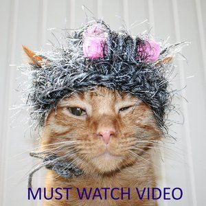 HAND CRAFTED Crocheted Grey Hairy Wig with Curlers Cat Hat Costume Photo Prop